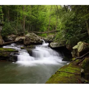 Papel De Parede Cachoeira Paisagem Sala Quarto Natureza M63