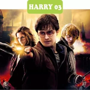 Papel De Parede Em Adesivo Hermione Harry Potter 2,80 X 3,65