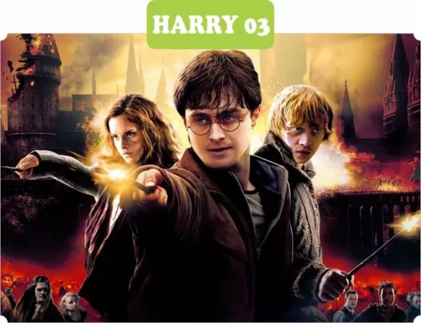 Papel De Parede Em Adesivo Hermione Harry Potter 9 M²