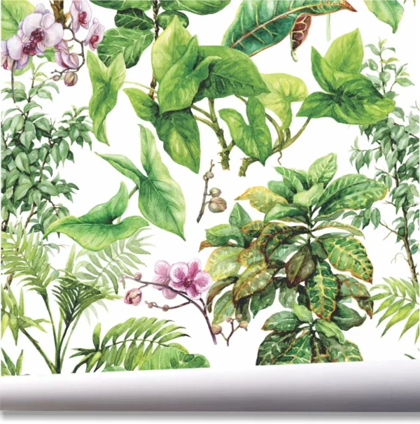 Papel De Parede Folhagem Jardim Folhas Tropical Flores A657