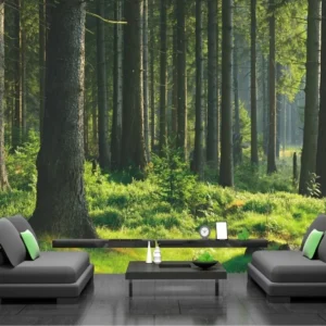 Papel De Parede Natureza 3d Floresta 7,30m² Completo Gg351