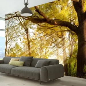 Papel De Parede Natureza Bosque Arvores Sol 2,25x2,45m Gg236