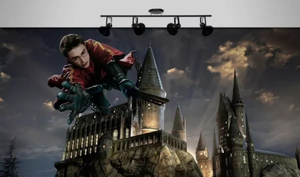 Papel De Parede Painel Festa Harry Potter