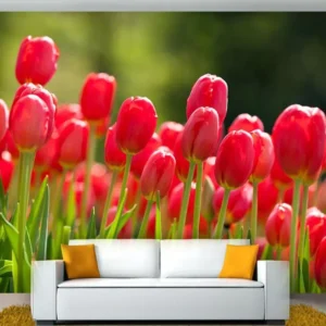 Papel De Parede Paisagem Flor Tulipas Vermelhas 5,5m² Nfl11