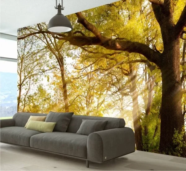 Papel De Parede Paisagem Floresta Raio Sol 1,70x2,00m Gg236